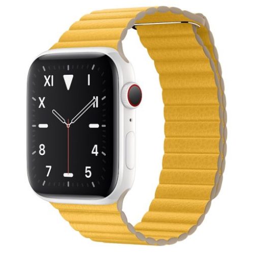 Apple Watch Series 5