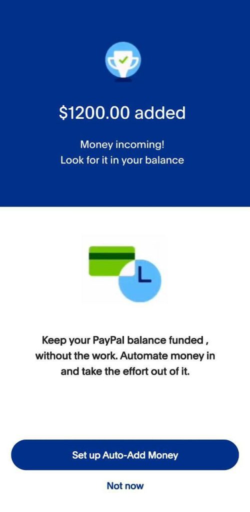 fresh Paypal linkable on sale - Image 5